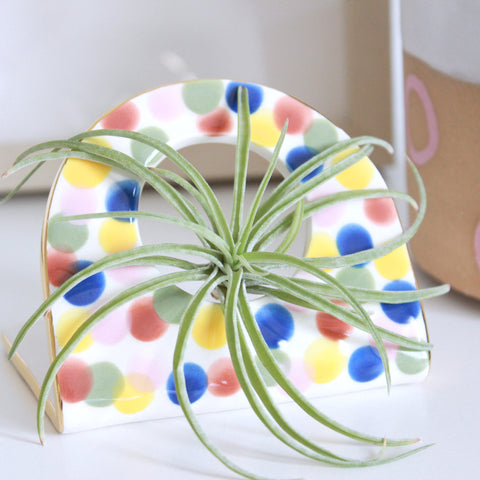 Air Plant Hangers/Holders